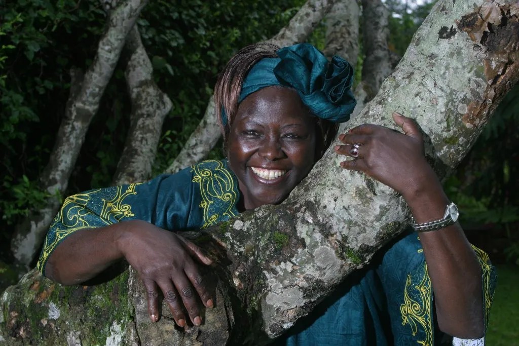 Wangari Maathai