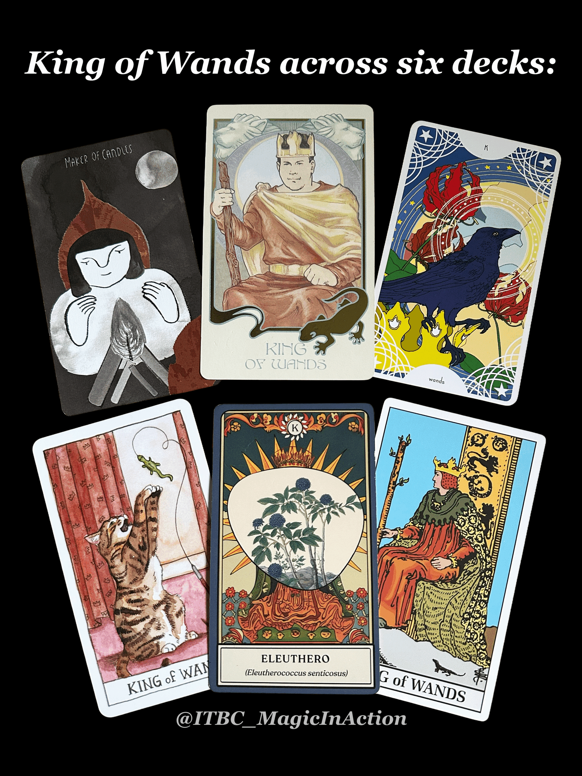 King of Wands across 6 decks