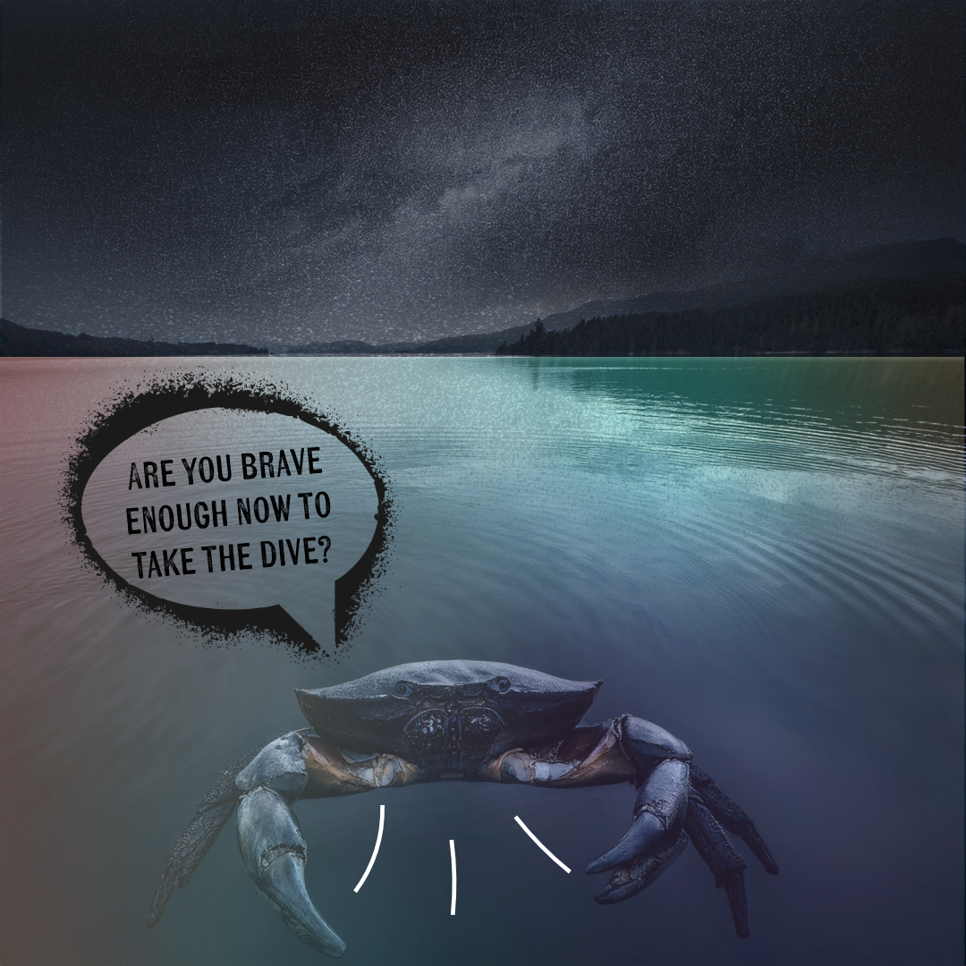 Swimming Crab Cancer New Moon