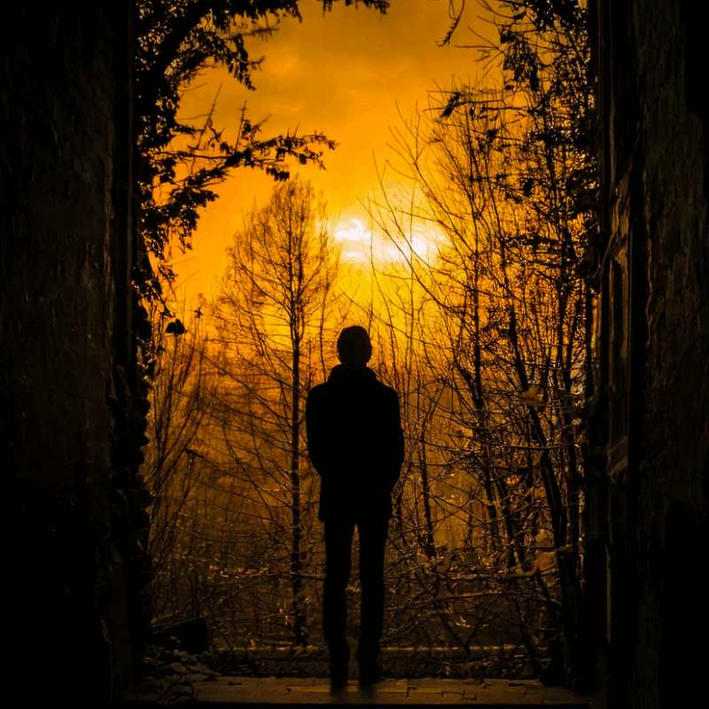 Person standing on patio looking into orange sunset and trees