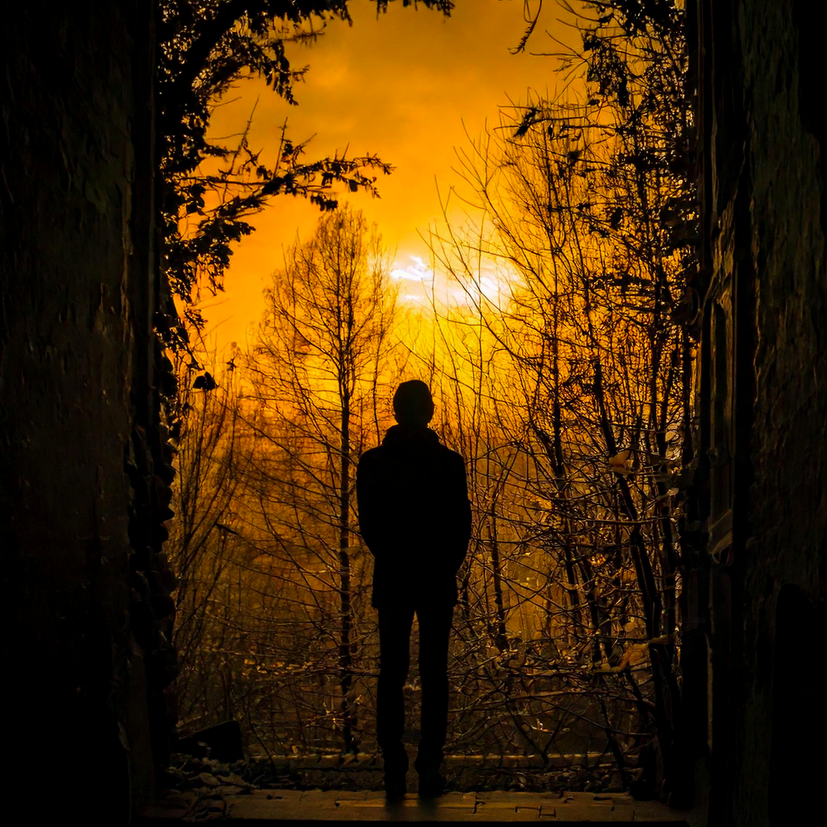 Person standing on patio looking into orange sunset and trees