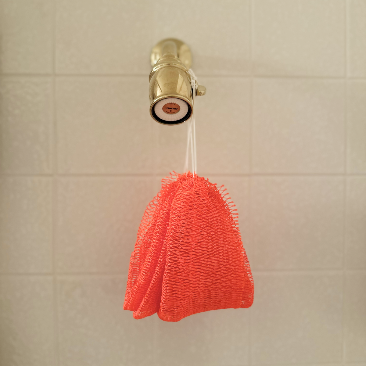 African Net Sponge - Coral, hanging