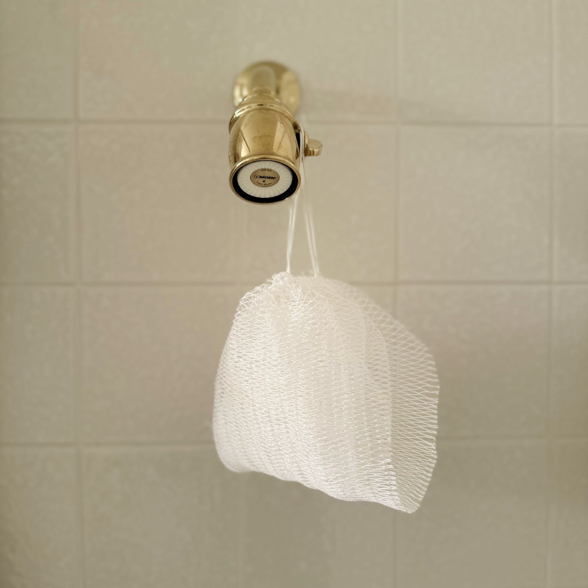 African Net Sponge - White, hanging