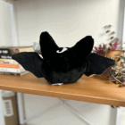 Candi - the sweet fanged bat, Back