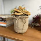 Eternity Plant - succulent, front