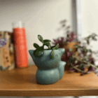 Teal Fox Mini Planter Pot - with drainage hole, back with plant