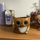 Wise Ol Owl Planter Pot, front