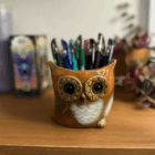 Wise Ol Owl Planter Pot, front with pens
