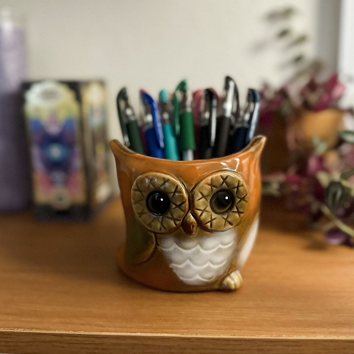 Wise Ol_ Owl Planter Pot, front with pens, edited SQUARE Wise Ol Owl Planter Pot, front with pens